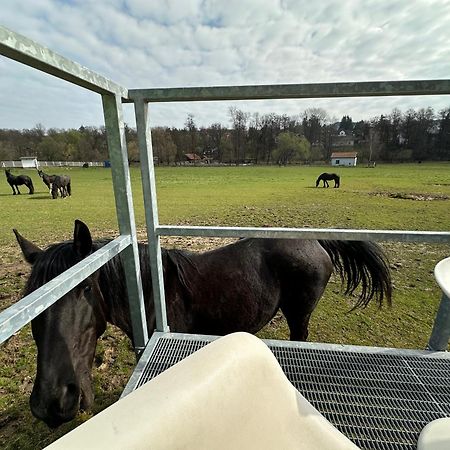 Glamping - Stylova Maringotka V Srdci Ladova Kraje, Pobliz Hlavniho Mesta Prahy Stribrna Skalice ภายนอก รูปภาพ