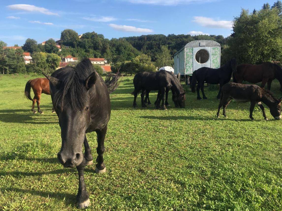 Glamping - Stylova Maringotka V Srdci Ladova Kraje, Pobliz Hlavniho Mesta Prahy Stribrna Skalice ภายนอก รูปภาพ