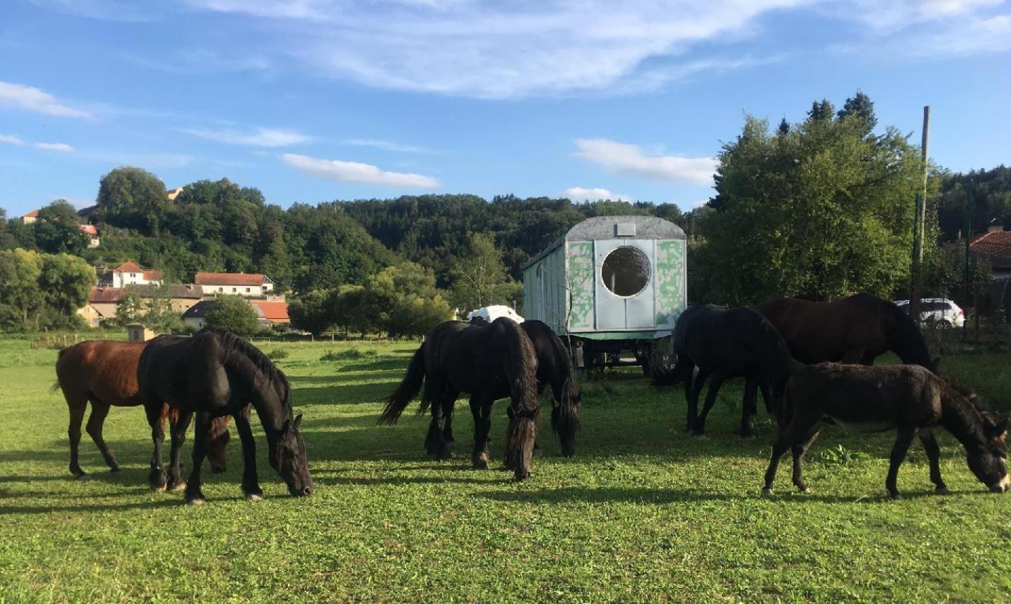 Glamping - Stylova Maringotka V Srdci Ladova Kraje, Pobliz Hlavniho Mesta Prahy Stribrna Skalice ภายนอก รูปภาพ