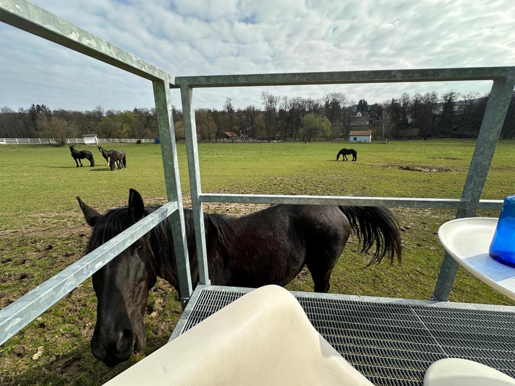 Glamping - Stylova Maringotka V Srdci Ladova Kraje, Pobliz Hlavniho Mesta Prahy Stribrna Skalice ภายนอก รูปภาพ